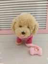 A simulated little dog children's toy with 60 songs and a leash that can walk and lick its tongue Specification image